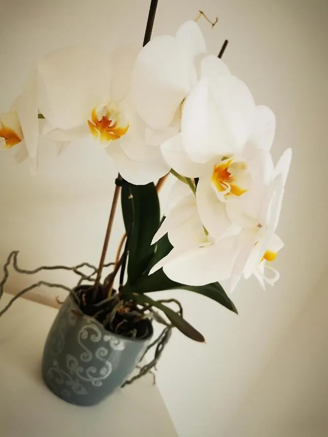 Ferienwohnung Orchidee Miltach