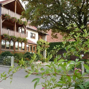 Selz Apartment
